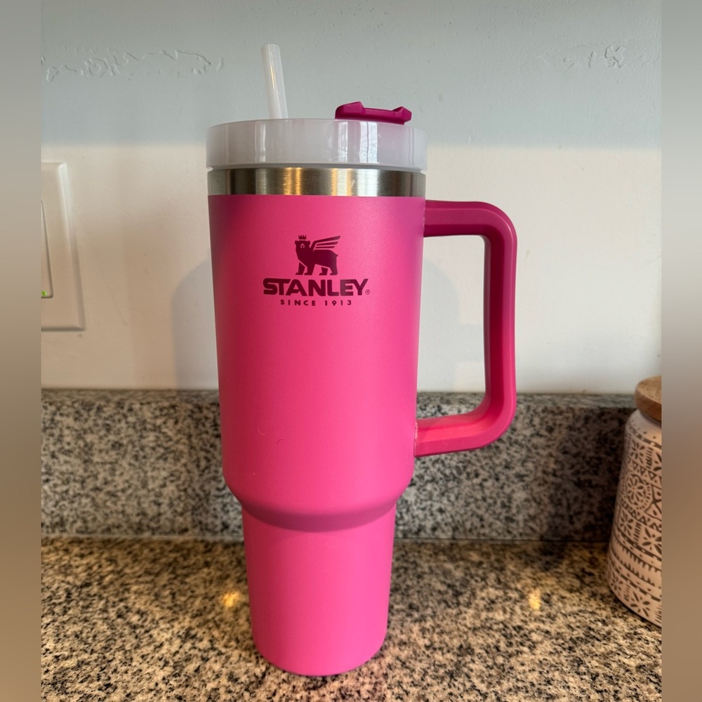 Dick’s Sporting Goods fuchsia 40 ounce Stanley